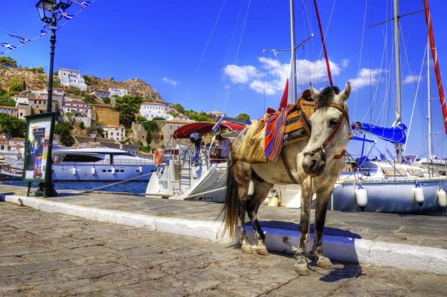 Hydra Island - Donkey on Greek island