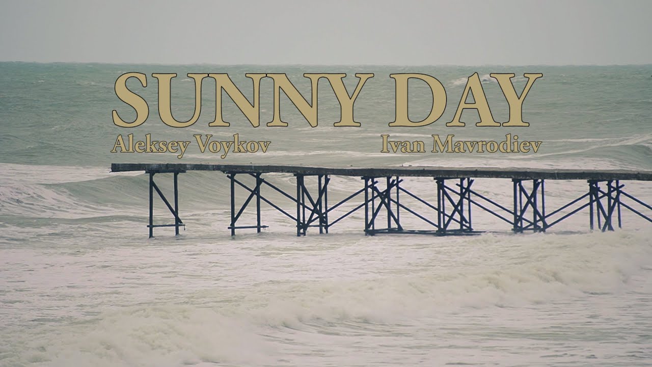 SunnyDay | SURFING