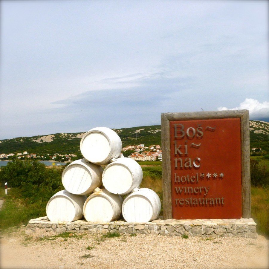 Hotel Boškinac winery