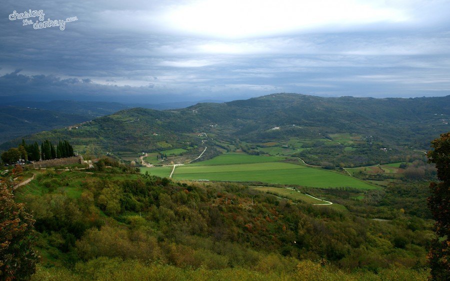 Buzet Truffle Festival