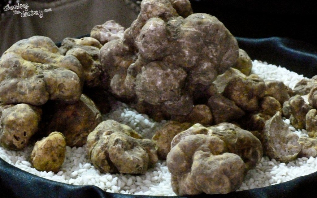 White Truffles in Istria