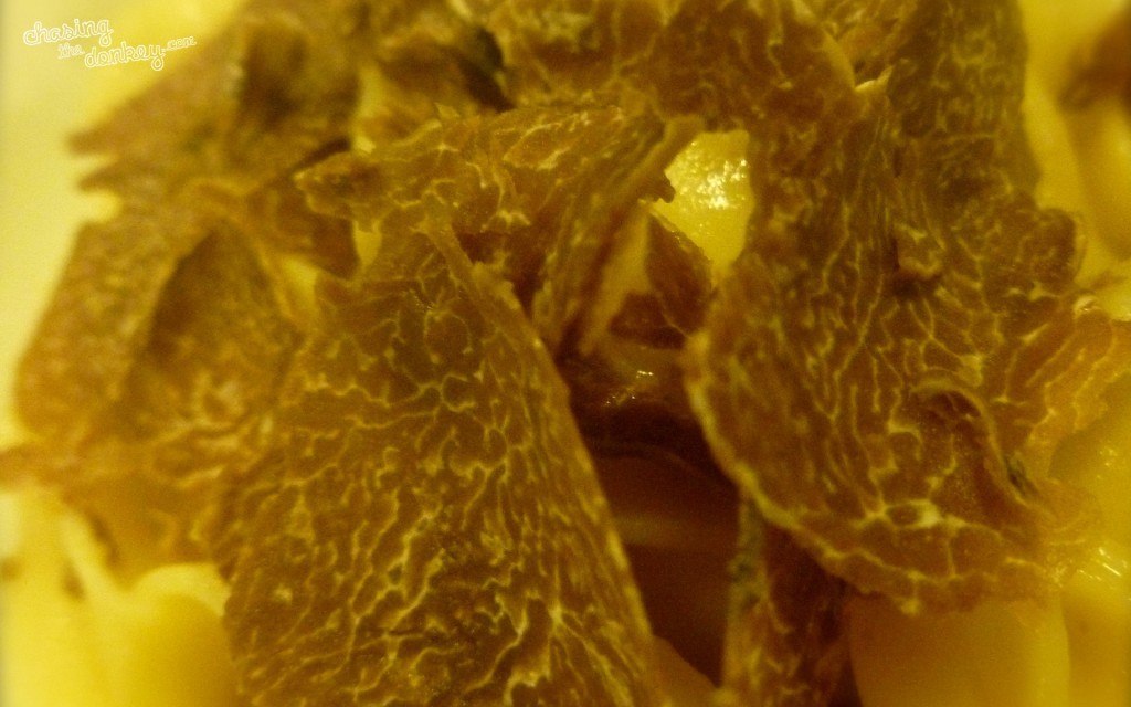 White Truffles in Istria