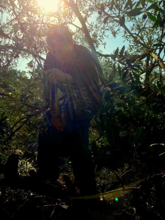 Somewhere in that mess of branches and leaves is Nana, most likely talking to herself.