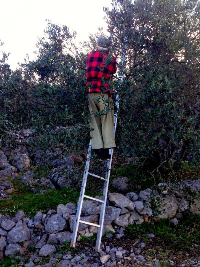 Dido, whose ladder antics make him part cartoon character, part Cirque de Soleil performer.
