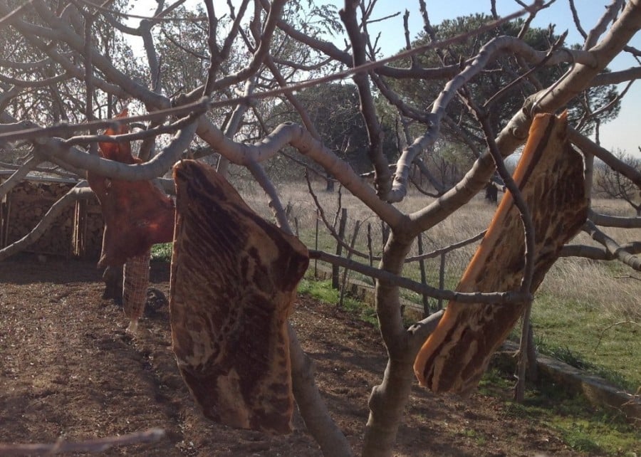 Charcuterie in Croatia pig drying in the bura - Chasing the Donkey #Croatia