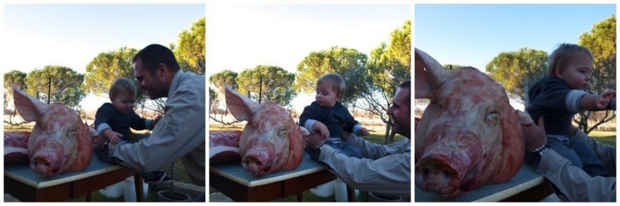 Expat Adventures: Charcuterie - Chasing the Donkey #Croatia