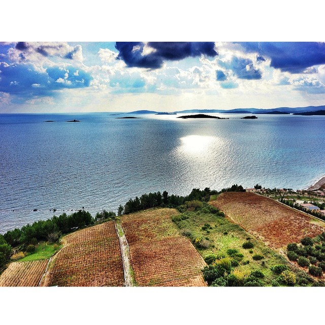 Aerial shot of vineyeards Croatia - Chasing the Donkey