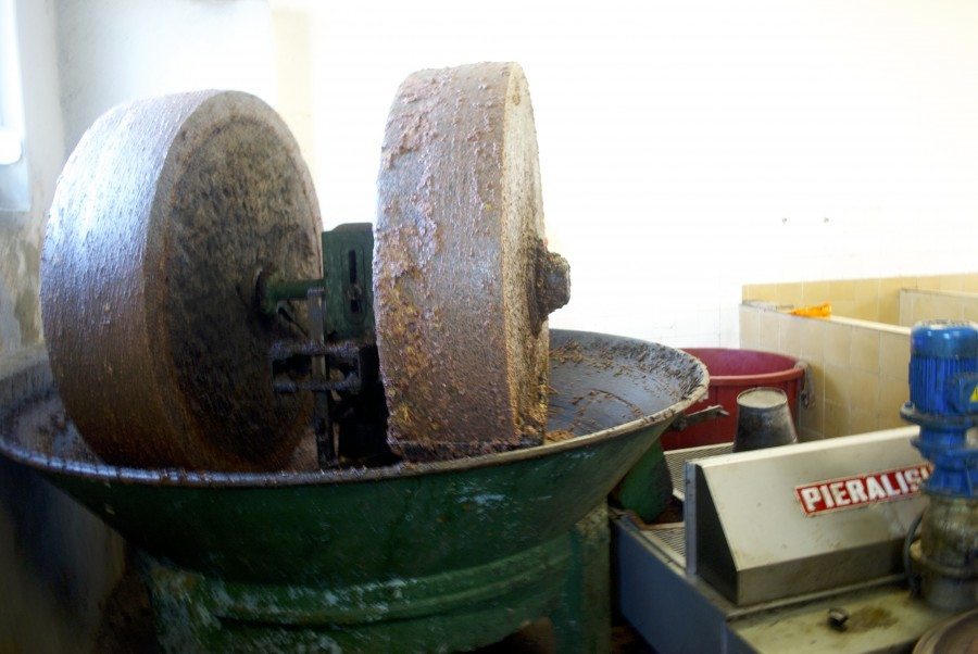 Croatian olive oil - Chasing the Donkey #Croatia