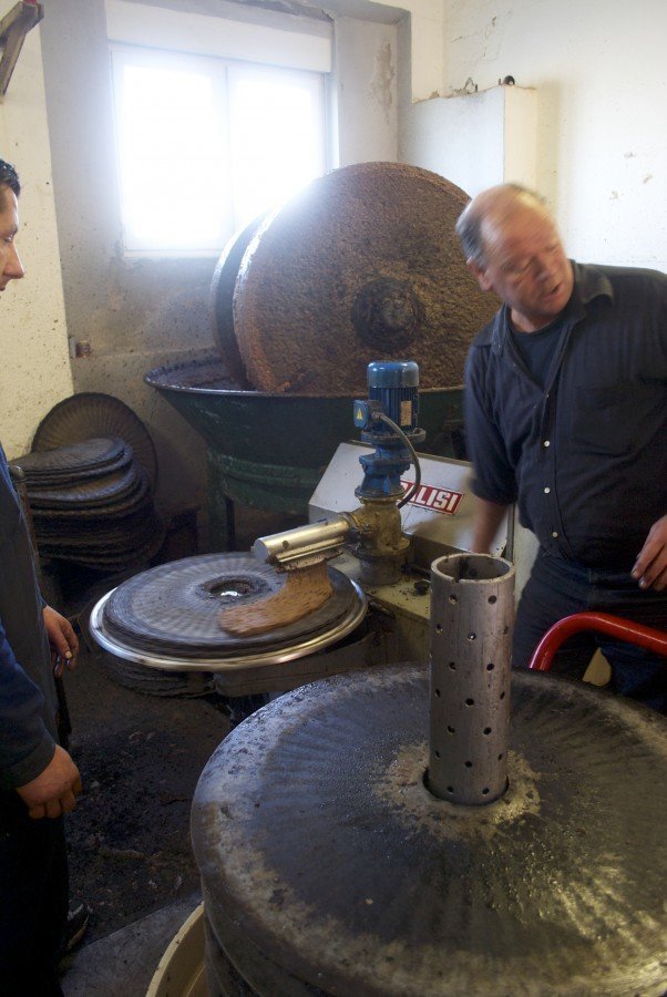 Croatian olive oil - Chasing the Donkey #Croatia