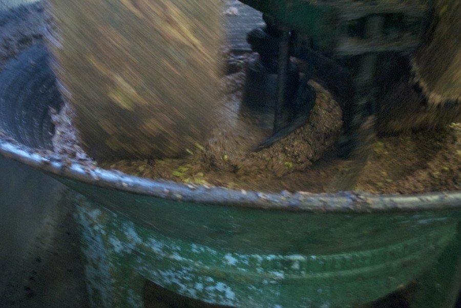 Croatian olive oil - Chasing the Donkey #Croatia
