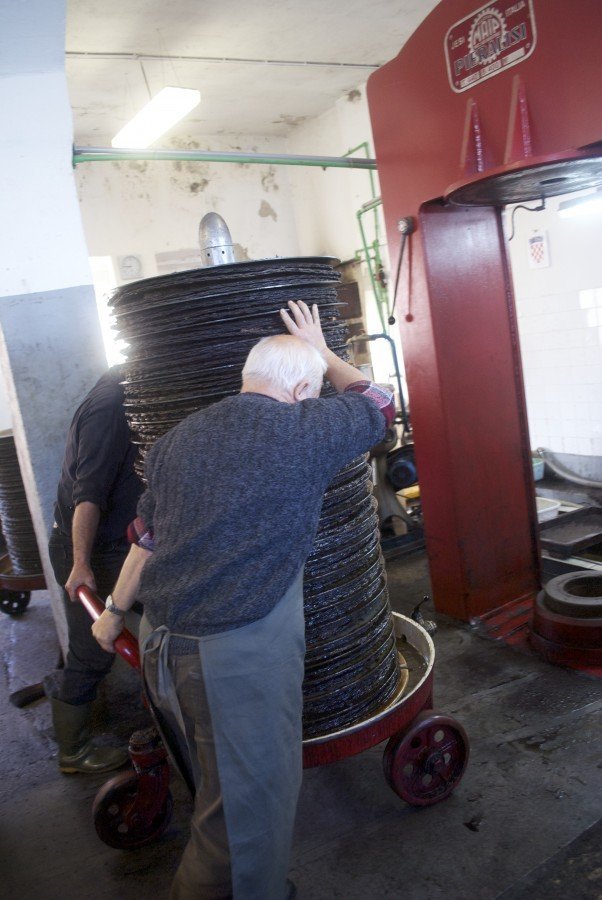 Croatian olive oil - Chasing the Donkey #Croatia