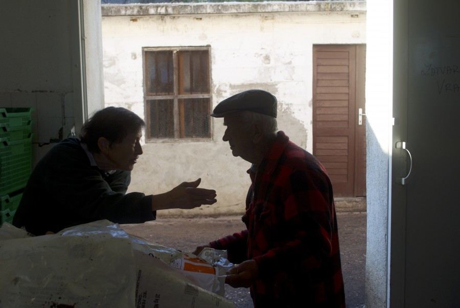 Croatian olive oil - Chasing the Donkey #Croatia