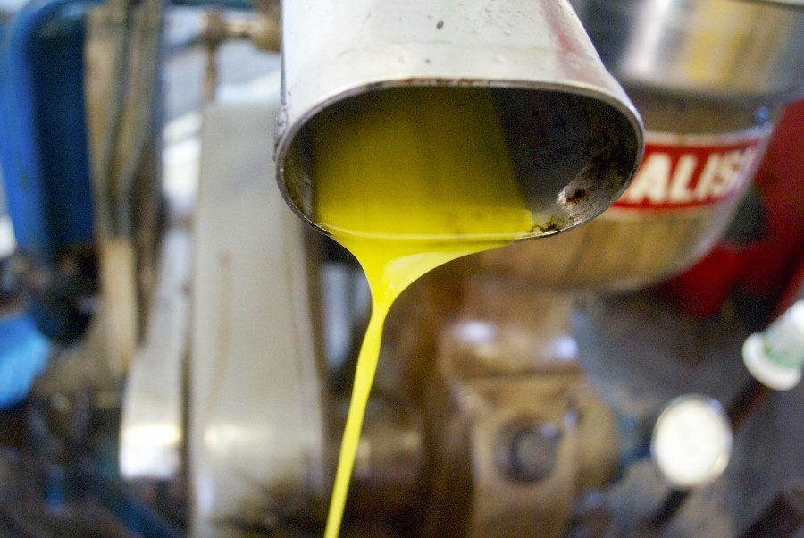 Croatian olive oil - Chasing the Donkey #Croatia