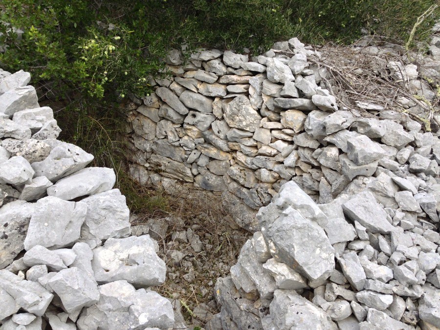 Croatian olive oil - Chasing the Donkey #Croatia
