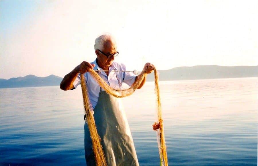 Croatian olive oil - Chasing the Donkey #Croatia