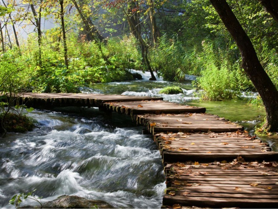 Things to do in Croatia_Plitvice Lakes