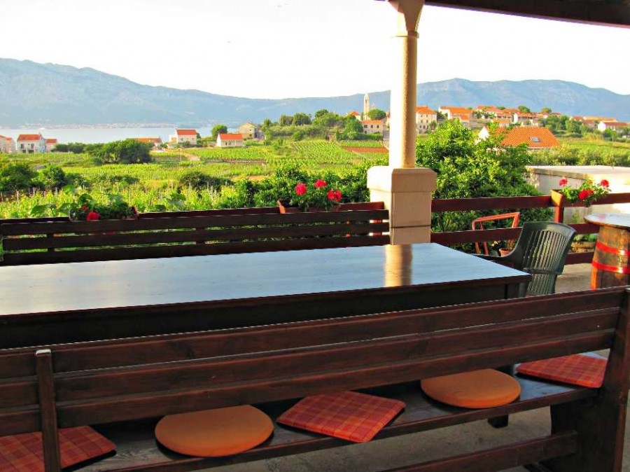 Views from Lumbarda wineries