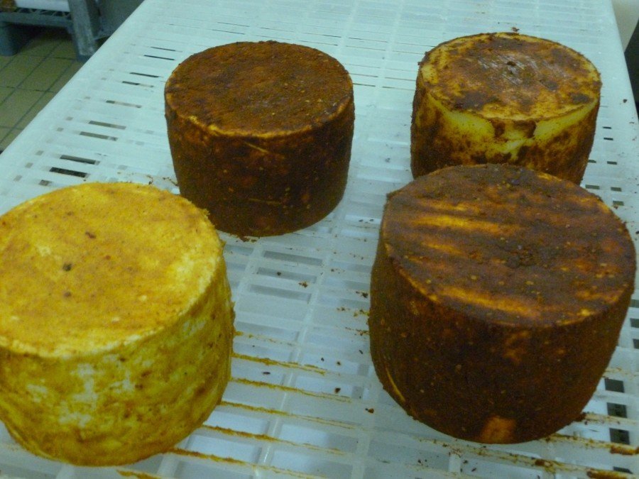 Secret Cheese on Pag Island - Chasing the Donkey