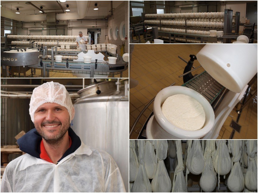 cheese factory at pag island.jpg