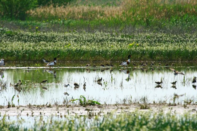 Vrana Lake Nature Park Vrana Lake Nature Park