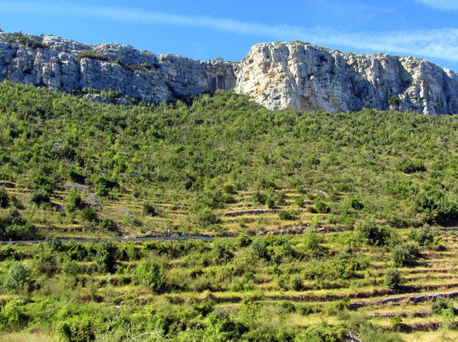 A cycling holiday to Hvar Island 2