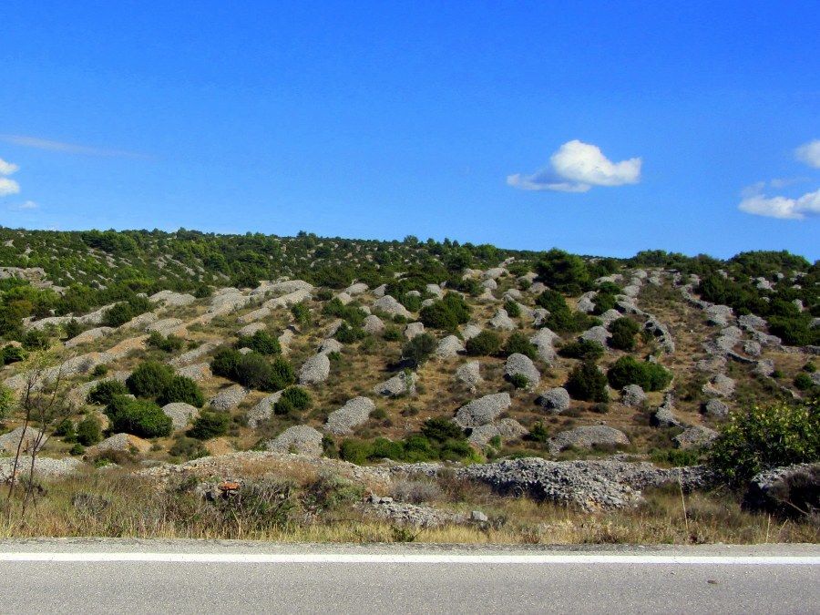 A cycling holiday to Hvar Island 5