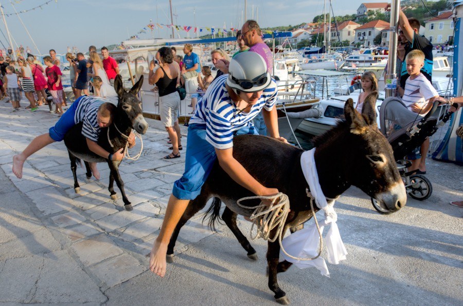 Donkey Race at Sali | Things to do in Croatia