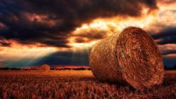Expat Dark Clouds_nature