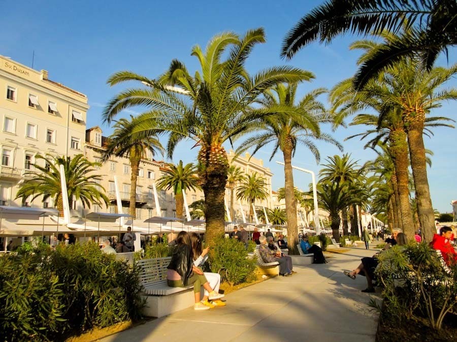 Fit in Split