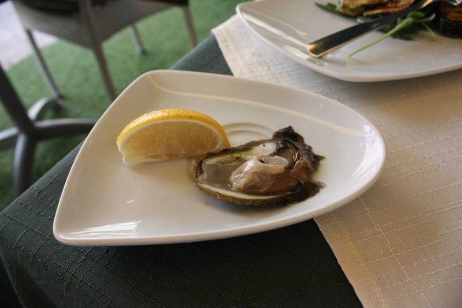 Adriatic's precious gems, the all-mighty Oyster