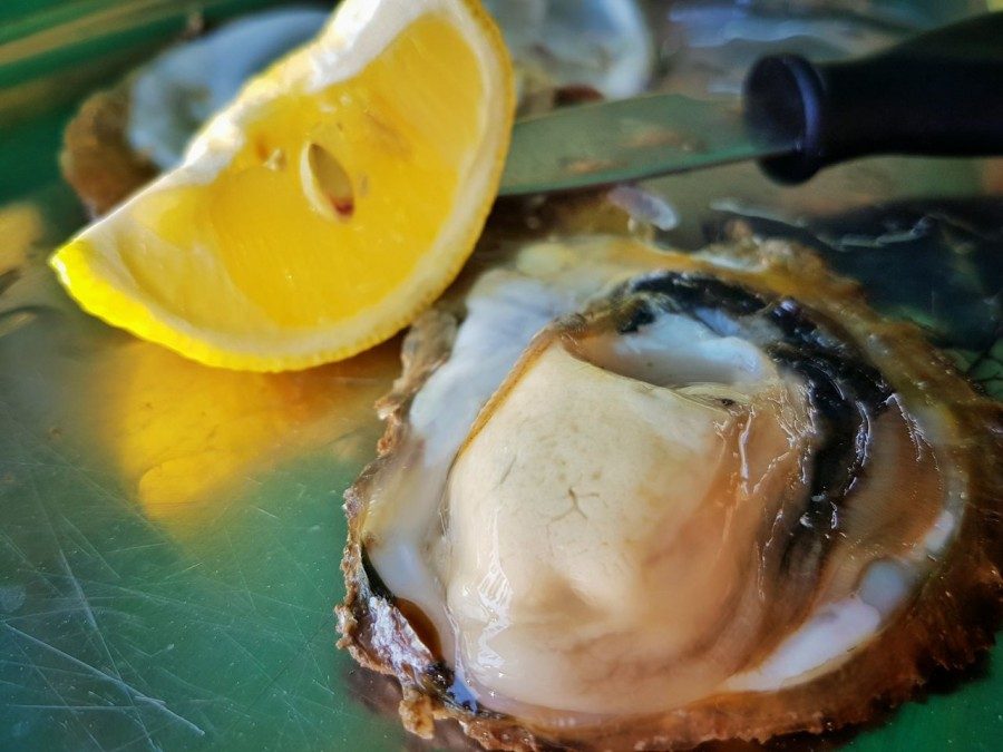 Istrian Food from Istria Croatia Travel Blog - 1