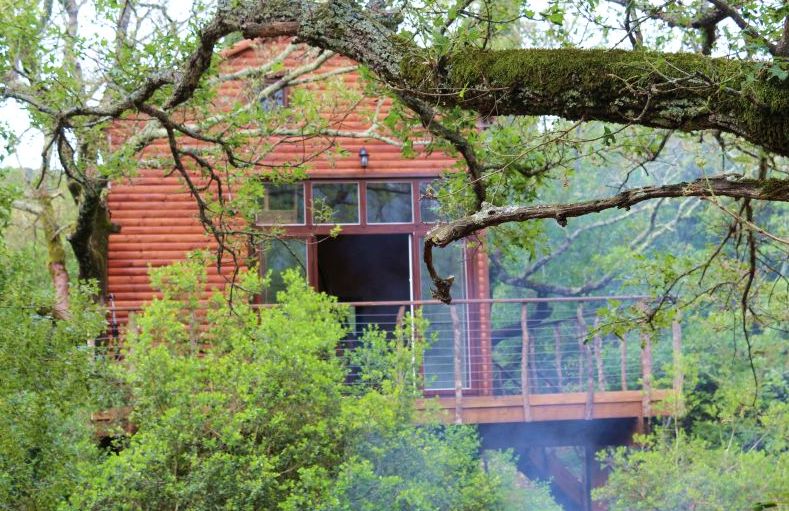 Weird Accommodation in Croatia Treehouse | Croatia Travel Blog