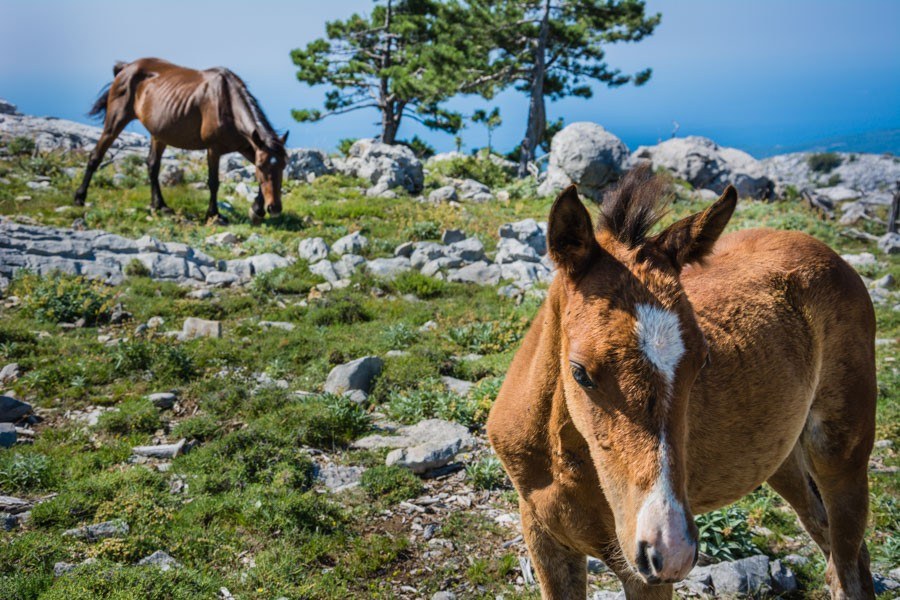 Orebic Croatia | Croatia Travel Blog