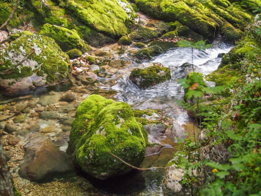 Mostnica - Adventure in Slovenia | Slovenia Travel Blog