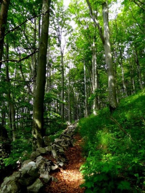 nova-gorica-slovenia-green | Slovenia Travel Blog
