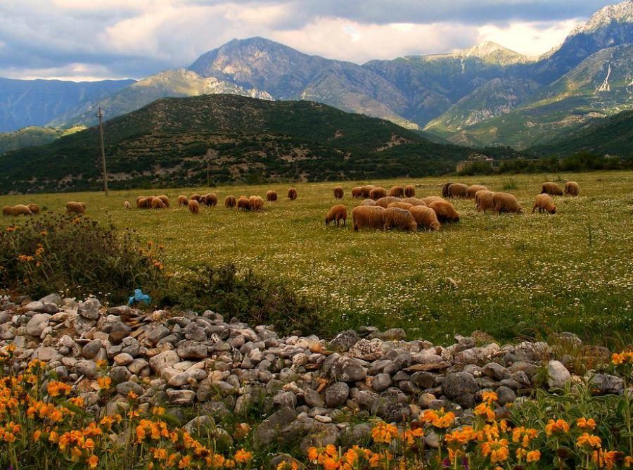 albania_albania-travel-blog