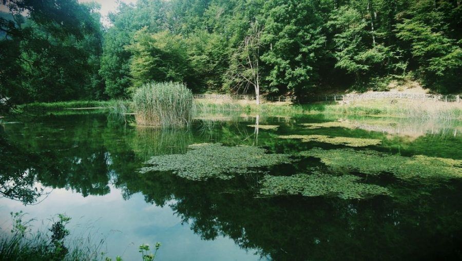Slavonia Croatia | Croatia Travel Blog