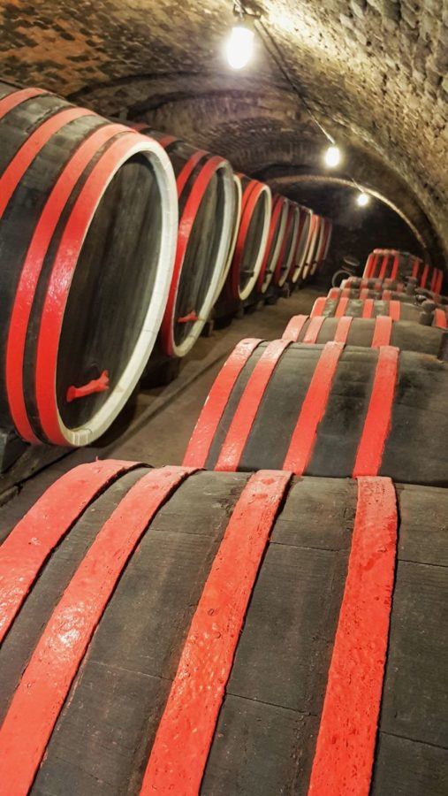 Things To Do In Slavonia - Misno