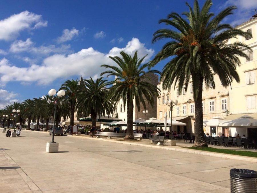 Things to do in Trogir Croatia Travel Blog - Palm Trees