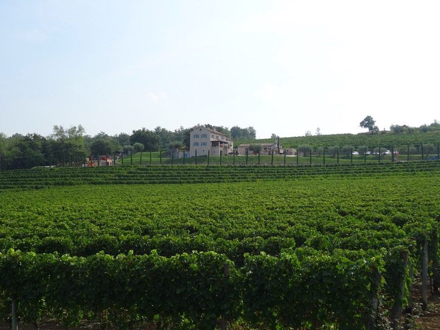 Travel Tips First Time to Croatia-Kabola-Winery