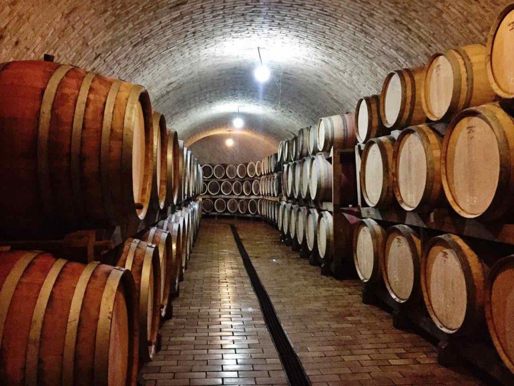 Best Croatian Wine 5 Grapes That Wine Lovers Must Try In Croatia