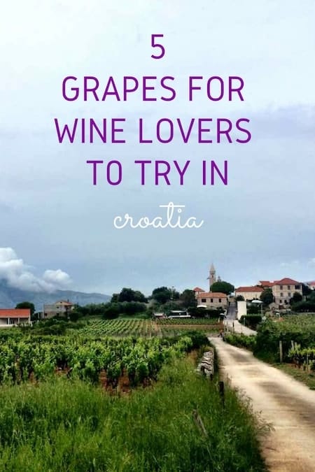 Croatia Travel Blog_Croatia's Best Wine Guide