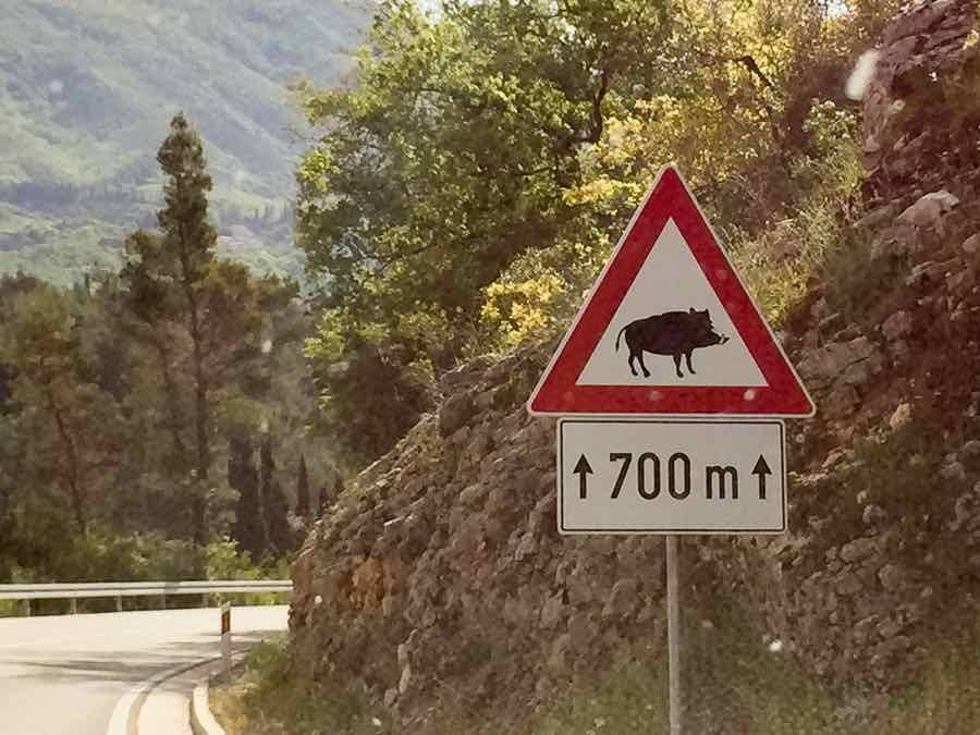 Day Trip to Montenegro 2