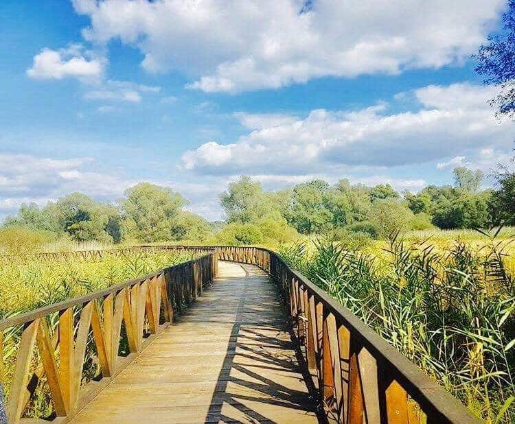 Things to do in Osijek Croatia - Osijek Parks- Croatia Travel Blog