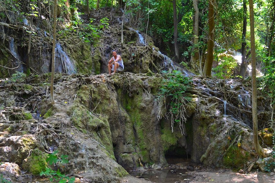 Things to do in Croatia_Day Trip to Krka National Park_Krka Forest