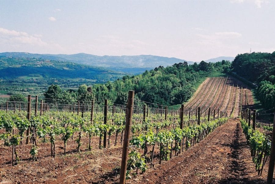 Topola - Best Day Trips from Belgrade, Serbia