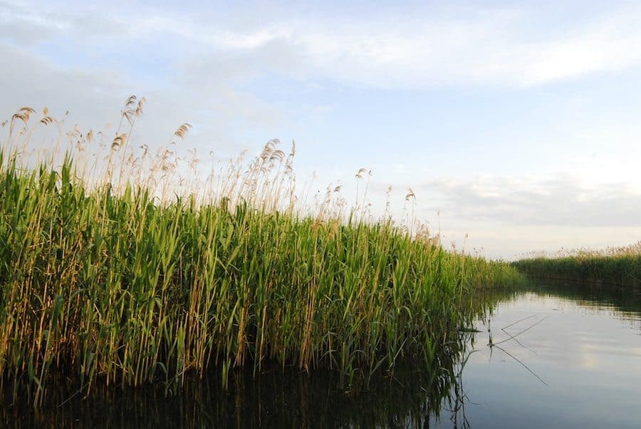 Romania Travel Blog_Things to do in Romania_5 Sights in Romania You Can't Miss_Danube Delta