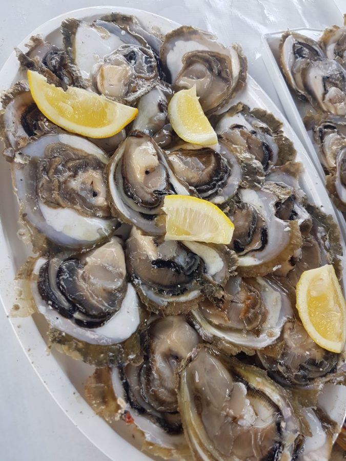 Huîtres au Mali Ston Oysters Croatie