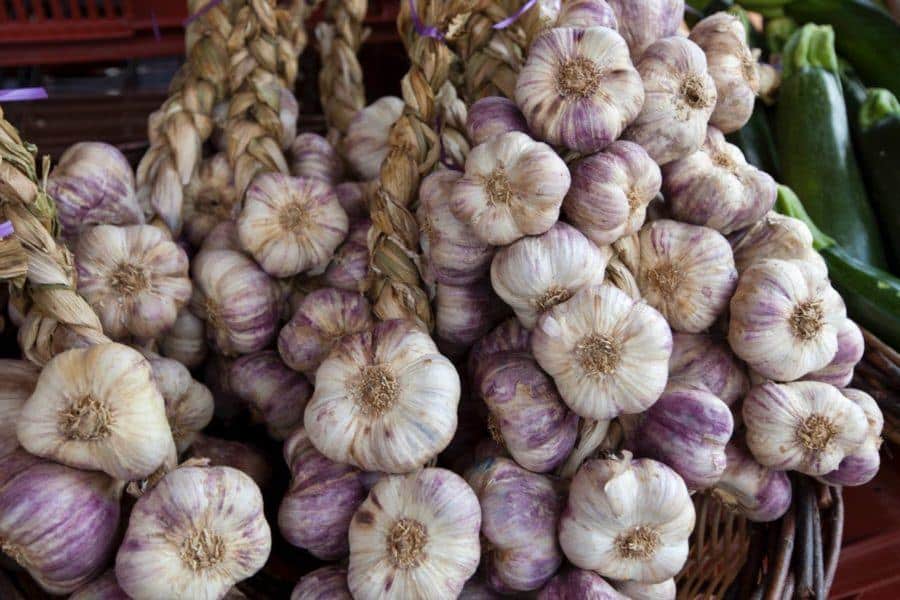 Garlic Rope - Garlic Festivals