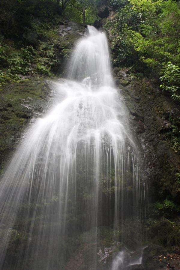 Georgia Travel Blog_Things to do in Batumi_Mtirala National Park